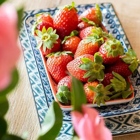 Casa E Vela Apart-hotel Oggebbio